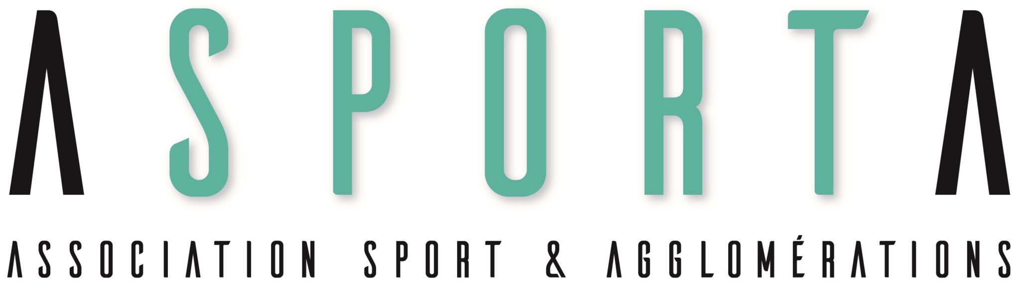 Logo ANDIISS - Association Nationale des Directeurs et des Intervenants d'Installations et des Services des Sports